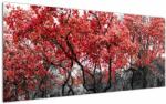 Mivali Tablou - Copacii roșii, Central Park, New York, dintr-o bucată 120x50 cm (V022930V12050)