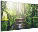 Mivali Tablou - trepte din lemn în pădure, dintr-o bucată 120x80 cm (V020593V12080)
