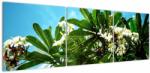 Mivali Tablou - Plumeria, din trei bucăți 150x50 cm (V021519V15050)