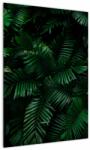 Mivali Tablou - Păpădii tropicale, dintr-o bucată 50x70 cm (V022138V5070)