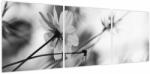 Mivali Tablou - Flori alb-negru, din trei bucăți 120x40 cm (V023782V12040)