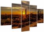 Mivali Tablou - Sfărșit de zi în deșertul Arizona, din cinci bucăți 150x105 cm (V021638V150105)