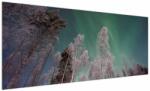 Mivali Tablou cu aurora borealis deasupra pomilor înghețați, dintr-o bucată 250x125 cm (V021684V250125)