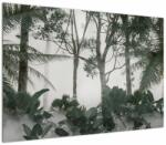 Mivali Tablou - Jungla în ceața dimineții, dintr-o bucată 100x70 cm (V022900V10070)