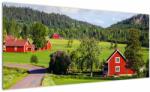 Mivali Tabloul cu țară, dintr-o bucată 100x40 cm (V020855V10040)