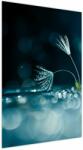 Mivali Tablou - Macro, dintr-o bucată 60x90 cm (V023731V6090)