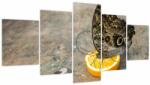 Mivali Tablou cu fluturi (cu ceas), din cinci bucăți 150x80 cm cu ceas (V020454V15080C)
