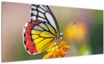 Mivali Tablou - Fluture pe floare, dintr-o bucată 100x40 cm (V022330V10040)