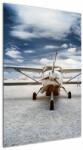 Mivali Tablou cu aeroplan cu motor, dintr-o bucată 60x90 cm (V021915V6090)