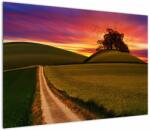 Mivali Tablou cu câmp și cerul colorat, dintr-o bucată 100x70 cm (V020395V10070)