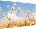 Mivali Tablou - Câmp de aur, din trei bucăți 120x80 cm (V023754V120803PCS)