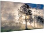 Mivali Tablou cu copac în ceață, dintr-o bucată 120x70 cm (V020378V12070)