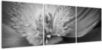 Mivali Tablou păpădii desflorite, din trei bucăți 120x40 cm (V022273V12040)