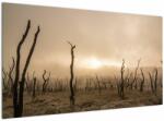 Mivali Tablou - Copaci goi, dintr-o bucată 120x70 cm (V021707V12070)