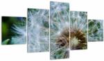 Mivali Tabloul cu păpădie desflorit, din cinci bucăți 125x70 cm (V020006V12570)
