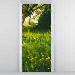 Mivali Fototapet pentru ușă - Luncă (D020157D95205)