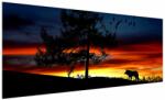 Mivali Tablou - Silueta unui lup, dintr-o bucată 250x125 cm (V022548V250125)