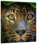 Mivali Tablou pe sticlă - Portretul leoparduslui, Sri Lanka, dintr-o bucată 30x30 cm pe sticlă (V021762V3030GD)