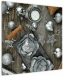 Mivali Tablou - decorațiuni argintii de Crăciun, dintr-o bucată 70x70 cm (V020310V7070)