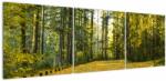 Mivali Tablou - pădurea toamna, din trei bucăți 150x50 cm (V020218V15050)