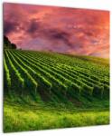 Mivali Tablou cu vie cu cerul color, dintr-o bucată 50x50 cm (V020336V5050)