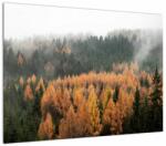 Mivali Tablou pe sticlă - Pădure toamna, dintr-o bucată 70x50 cm pe sticlă (V022938V7050GD)