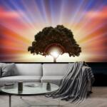 Mivali Fototapet - Copac în razele solare, vlies, 245x170 cm (T100264TQ5)