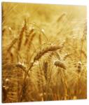 Mivali Tablou - Spice de cereale, dintr-o bucată 30x30 cm (V022459V3030)
