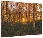 Mivali Tablou - Pădurea toamna, dintr-o bucată 70x50 cm (V022643V7050)