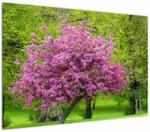 Mivali Tablou cu pom înflorit pe luncă, dintr-o bucată 100x70 cm (V020654V10070)