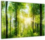 Mivali Tablou pe sticlă - Răsărit în pădure, dintr-o bucată 70x50 cm pe sticlă (V022345V7050GD)