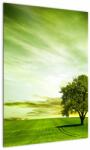Mivali Tablou - Copacul vieții, dintr-o bucată 50x70 cm (V022494V5070)