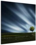 Mivali Tablou -Aurora boreală, dintr-o bucată 70x70 cm (V022594V7070)