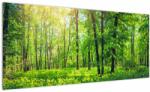 Mivali Tablou - Pădurea cu frunze de primăvară, dintr-o bucată 100x40 cm (V022101V10040)