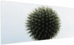 Mivali Tablou - Sfere de flori, dintr-o bucată 250x125 cm (V022586V250125)