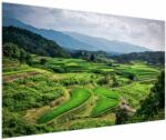 Mivali Tablou cu câmp de orez, dintr-o bucată 150x100 cm (V020271V150100)