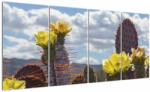 Mivali Tablou cu floarea de cactus Opunție, din patru bucăți 160x80 cm (V021553V16080)