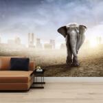 Mivali Fototapet - Elefant în oraș, vlies, 98x68 cm (T100338TQ2)