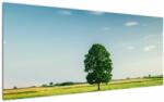 Mivali Tablu - Copac în luncă, dintr-o bucată 120x50 cm (V022558V12050)