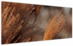 Mivali Tablou - Cortaderie, dintr-o bucată 120x50 cm (V023990V12050)