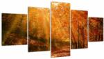 Mivali Tablou cu pădurea în toamnă, din cinci bucăți 150x80 cm (V021203V150805PCS)