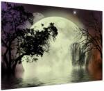 Mivali Tablou - Lună plină deasupra apei, dintr-o bucată 100x70 cm (V023664V10070)