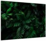 Mivali Tablou pe sticlă - Păpădii tropicale, dintr-o bucată 70x50 cm pe sticlă (V022138V7050GD)