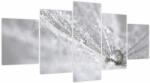 Mivali Tablou - Picătură de apă, din cinci bucăți 150x80 cm (V023905V150805PCS)