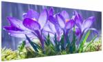 Mivali Tablou cuflori în ploaie, dintr-o bucată 250x125 cm (V020707V250125)