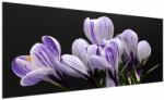 Mivali Tablou - Crocus violet, dintr-o bucată 250x125 cm (V022589V250125)