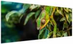 Mivali Tablou cu cameleon, dintr-o bucată 250x125 cm (V021236V250125)
