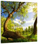 Mivali Tablou pe sticlă lunca ne primăvară, dintr-o bucată 30x30 cm pe sticlă (V021769V3030GD)