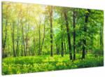Mivali Tablou - Pădurea cu frunze de primăvară, dintr-o bucată 120x70 cm (V022101V12070)