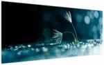Mivali Tablou - Macro, dintr-o bucată 120x50 cm (V023731V12050)